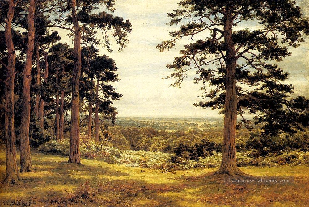 Un peep à travers les pins paysage Benjamin Williams Leader Forêt Peintures à l'huile